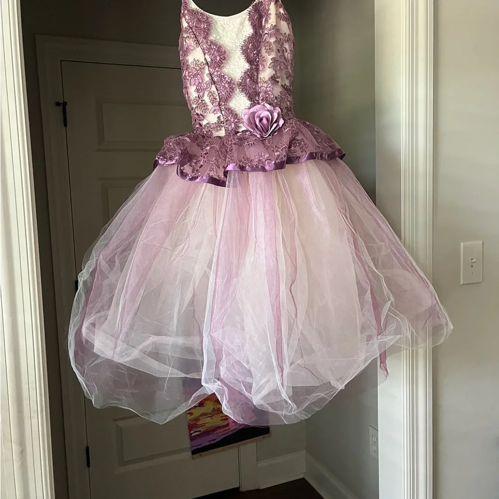 Victorian Waltz Purple Ballet Costume - Picture 3 of 4